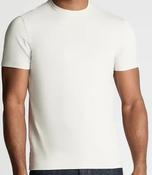 REMUS UOMO-COTTON STRETCH CREW NECK T-SHIRT-LIGHT GREY-03 image