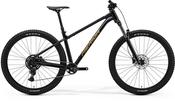 Merida Big Trail 300 image