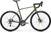 Merida Scultura Endurance 300 image