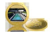 The Irish War of Independence 'Garden of Remembrance' Gold Layered Medal image
