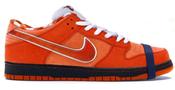 Concepts x Dunk Low SB  Orange Lobster  FD8776-800 image