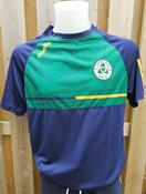 St Peters College Dolmen Tshirt