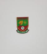 Gaelscoil Crest