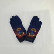 Dunboyne Ladies Gaa Gloves
