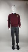 Gael Scoil Jumper (Crested)