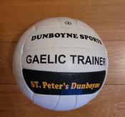 St Peters Dunboyne Gaelic Trainer