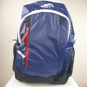 Phoenix Backpack image