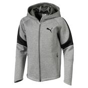 Puma Evo Stripe Move Fz Hoody