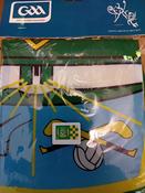 MEATH FLAG