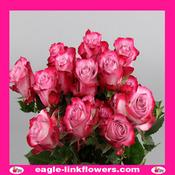 Deep Purple – Premium Roses - 40cm image