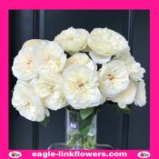 Ella – David Austin - 40cm image