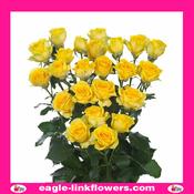Goldilocks – Premium Spray Roses - 50cm image