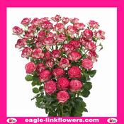 Imara – Premium Spray Roses - 50cm image