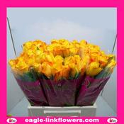 Intense – Intermediate Roses - 40cm image
