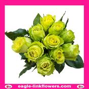 Limbo – Premium Roses - 40cm image