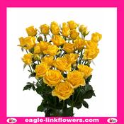 Marisa – Regular Spray Roses - 50cm image