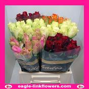 Mix Color - Premium Roses - 40cm image