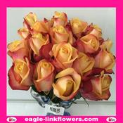Pebbles – Premium Roses - 40cm image