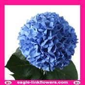 Blue Hydrangea - 50cm image