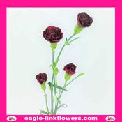 Burgundy Spray Carnation - 50cm image