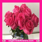 Cotton Candy – Premium Roses - 40cm image