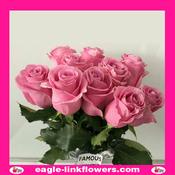 Famous – Premium Roses - 40cm image
