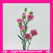 Lavender Lilac Purple Spray Carnation - 50cm image