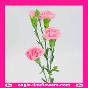 Light Pink Spray Carnation - 50cm image