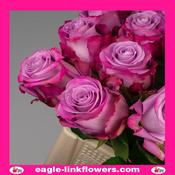 Maritim – Premium Roses - 40cm image