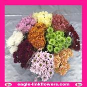 Mix Color – Spray Chrysanthemum (Pompoms) - 70cm image