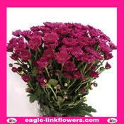 Purple Spray Chrysanthemum (Pompoms) - 70cm image