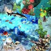 Active World Tuff Tray Ocean Deep Photographic Mat