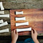 Dinosaur Bones Match and Measure Set