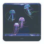 Extra Large Jelly Fish Tank  Square