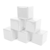 Foam Dice With Pockets 6pk