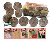 Let's Investigate Farmyard Footprints