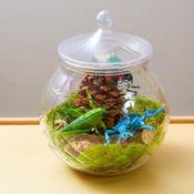 Magical Ingredient Storage Jars