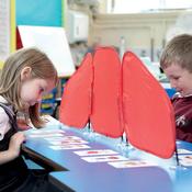 Pop-Up Desk Red Concentration Barrier 5pk