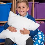 Vibrating Snuggle Cushion image