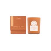 Echoes Natural Tumbler Candle Under The Fig Tree image