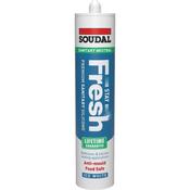 Soudal Stay Fresh Clear 300Ml