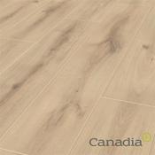 Canadia Flooring Sofia Oak 8Mm image