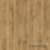 Canadia Flooring North Oak Natural 8Mm image