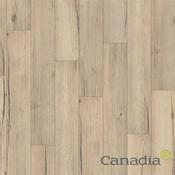 Canadia Flooring Valley Oak Smoke 8Mm Aqua image