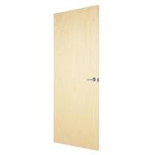 Bg Home Popular Paint Grade Fire Door