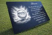 Sliotar Plaque