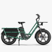 Fiido T2 Cargo Ebike 2025