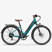 Fiido C11 Pro Electric Bike image