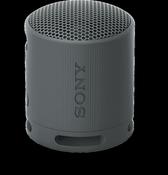 Sony SRS-XB100 Wireless Portable Speaker | Black