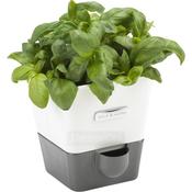Cole &amp; Mason Burwell Self-Watering Single Herb Planter | White/Grey image
